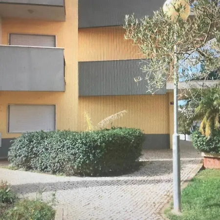 Apartament New Petit Paradise *
