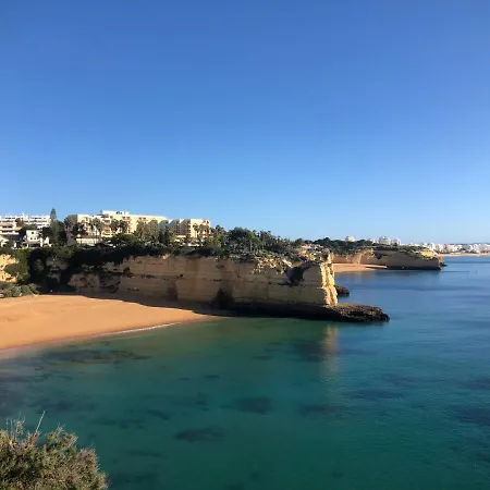 New Petit Paradise *